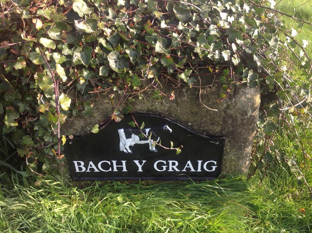Bach Y Graig Hotel St Asaph Exterior photo